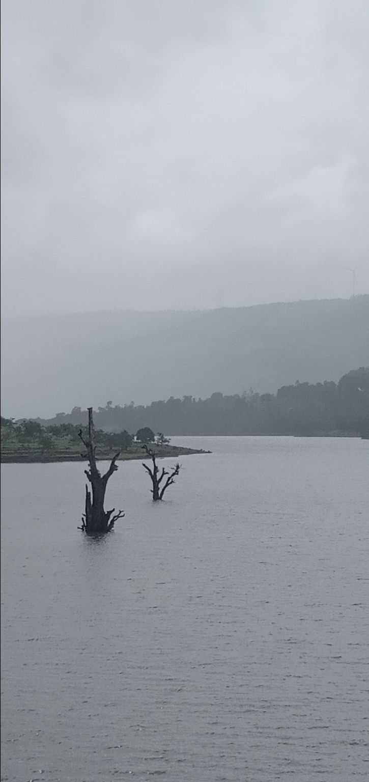 Photo of To unknown Forrests by Akash Patil