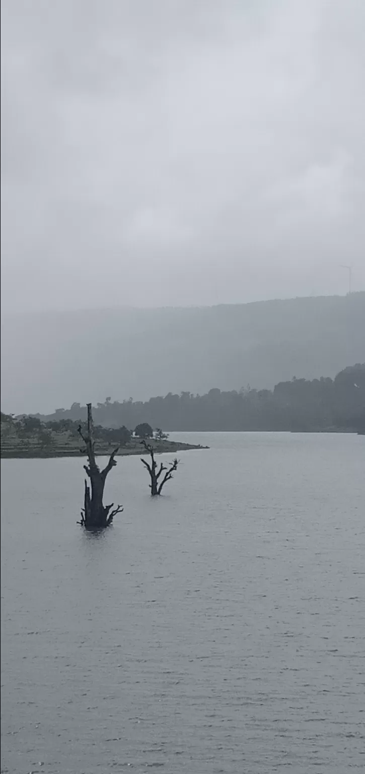 Photo of To unknown Forrests by Akash Patil