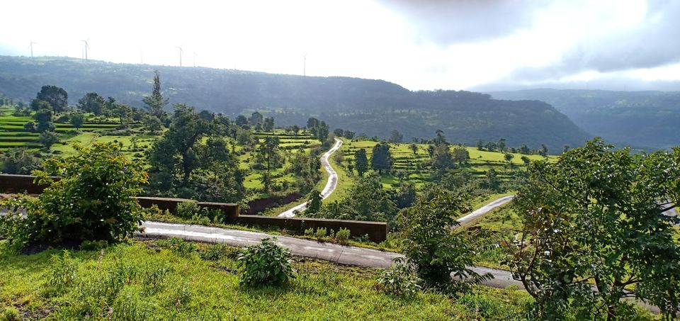 Photo of To unknown Forrests by Akash Patil