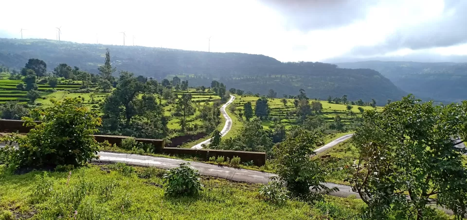 Photo of To unknown Forrests by Akash Patil