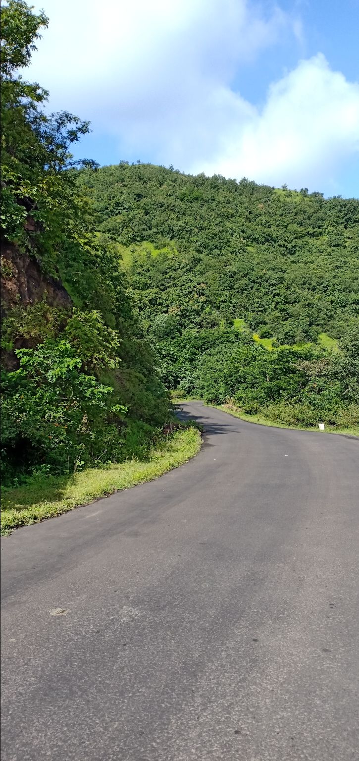 Photo of To unknown Forrests by Akash Patil