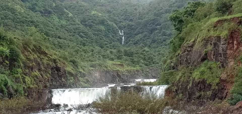 Photo of To unknown Forrests by Akash Patil