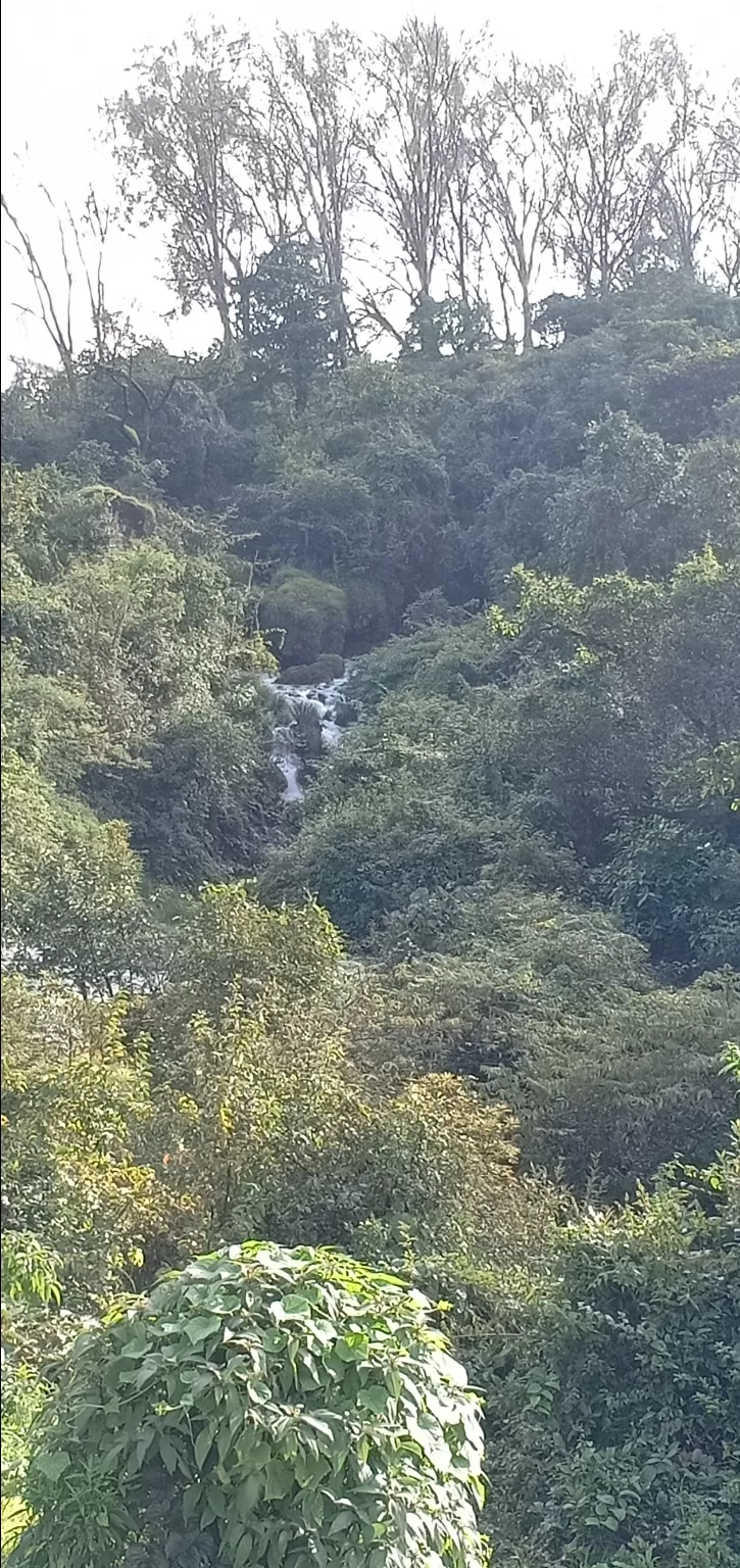 Photo of To unknown Forrests by Akash Patil