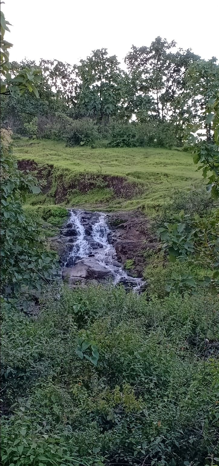 Photo of To unknown Forrests by Akash Patil