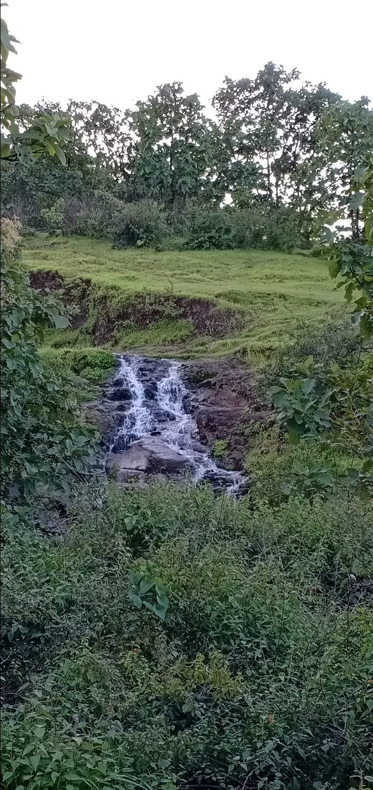 Photo of To unknown Forrests by Akash Patil
