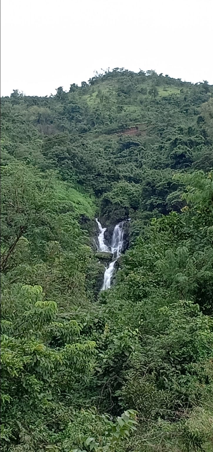 Photo of To unknown Forrests by Akash Patil