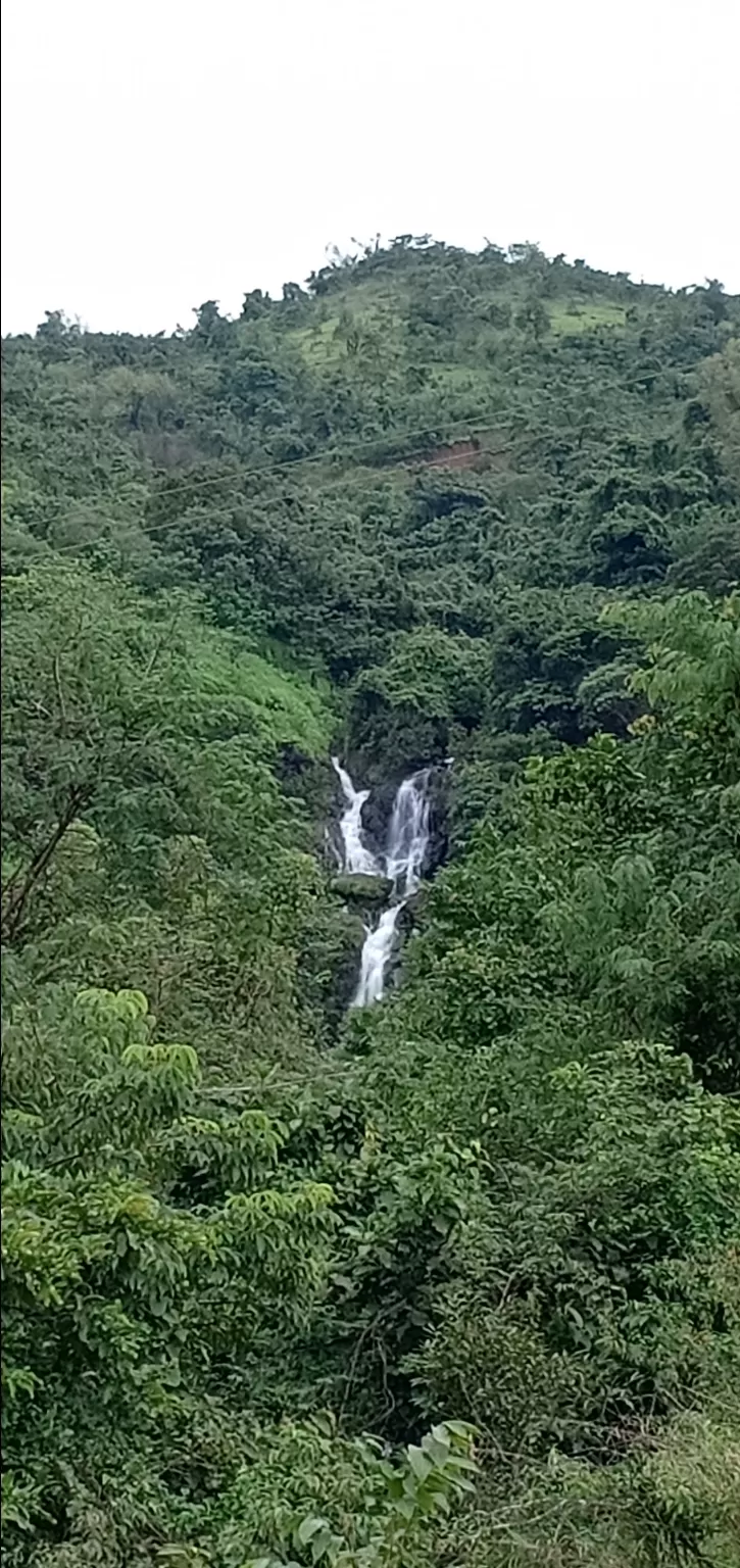 Photo of To unknown Forrests by Akash Patil