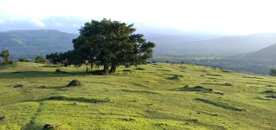 Photo of To unknown Forrests by Akash Patil