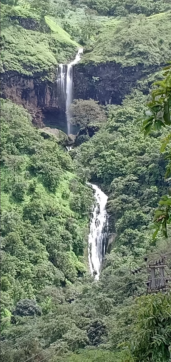 Photo of To unknown Forrests by Akash Patil