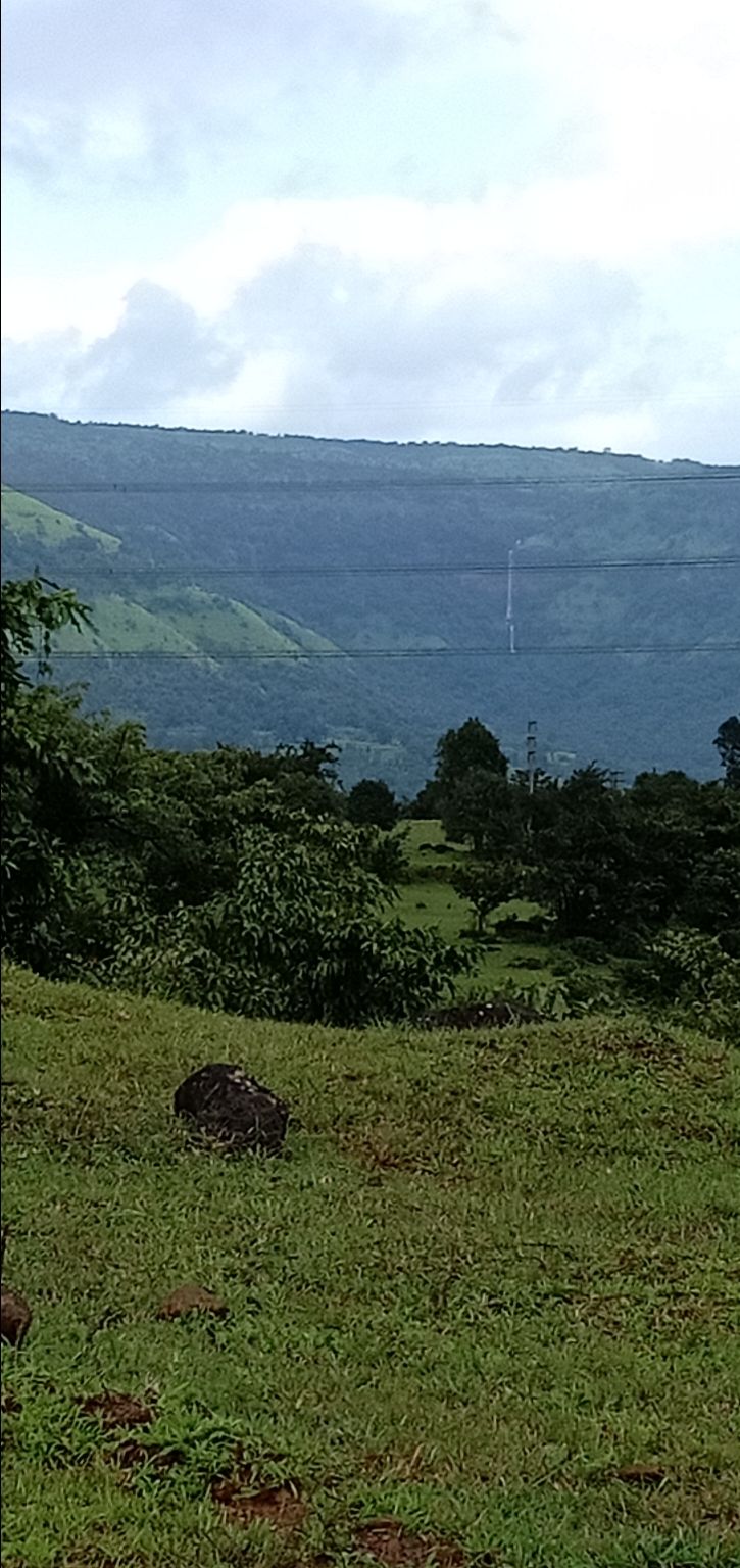 Photo of To unknown Forrests by Akash Patil