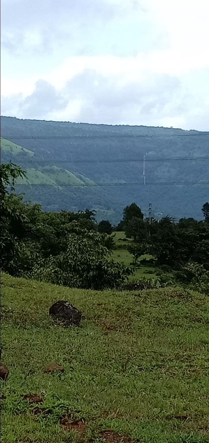 Photo of To unknown Forrests by Akash Patil