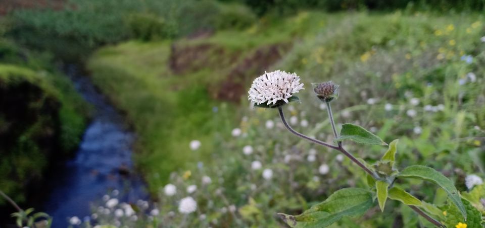 Photo of To unknown Forrests by Akash Patil