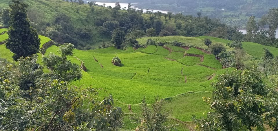 Photo of To unknown Forrests by Akash Patil