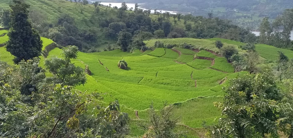 Photo of To unknown Forrests by Akash Patil
