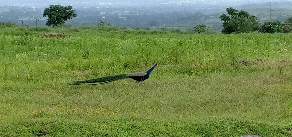 Photo of To unknown Forrests by Akash Patil