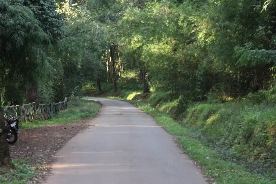 Photo of Bhadra Wildlife Sanctuary, Chickmagaluru, Karnataka, India by Ayushee Chaudhary