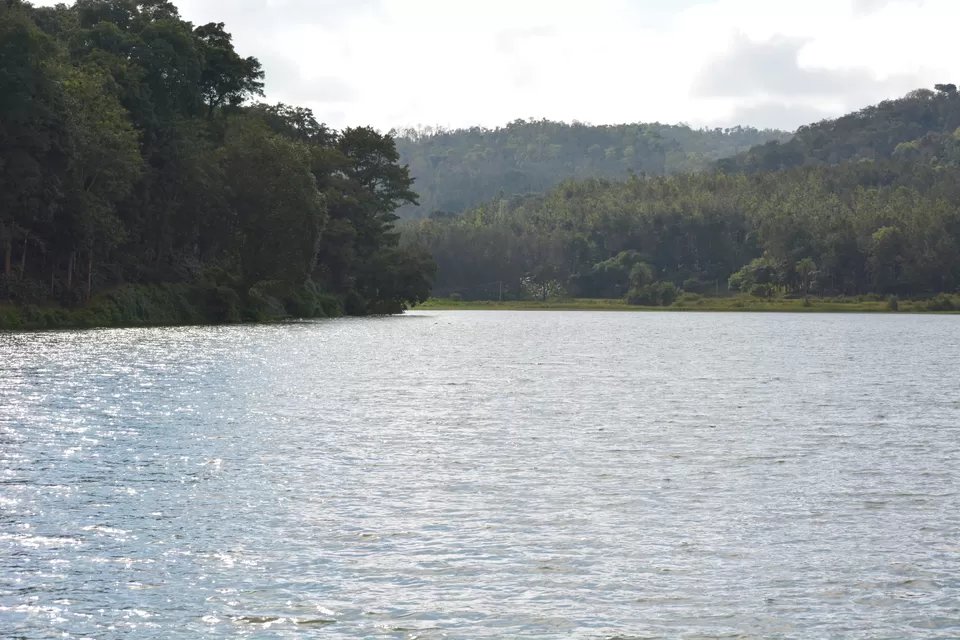 Photo of Hirekolale lake, Chickmagaluru, Karnataka, India by Ayushee Chaudhary