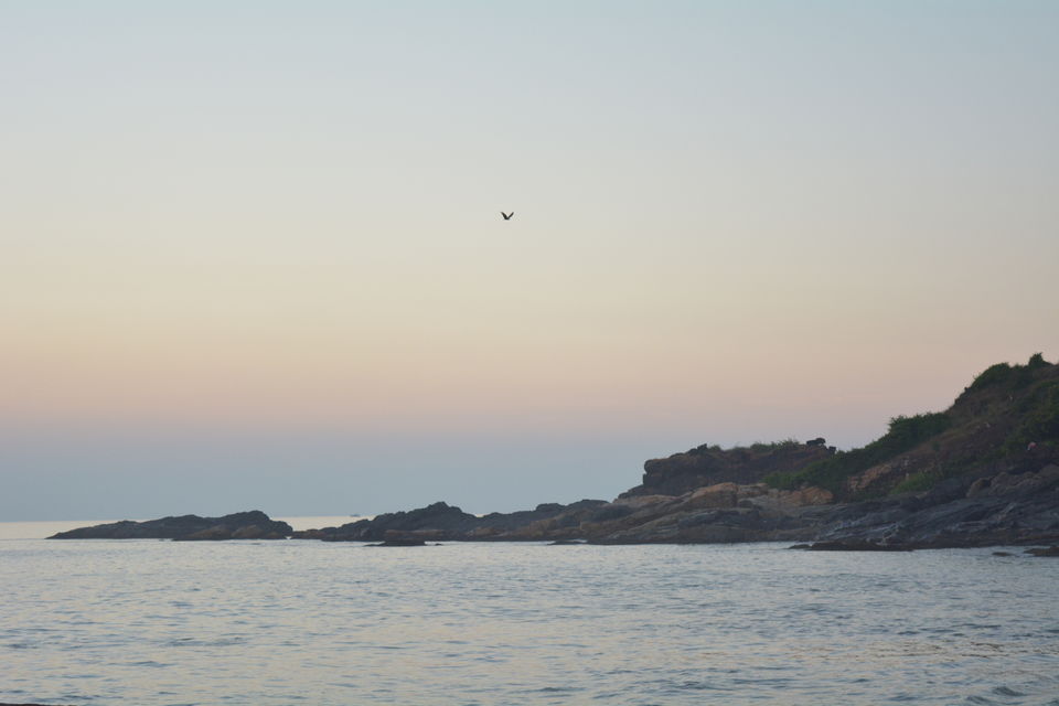 Photo of Hopping by the beaches on a soothing evening by Ayushee Chaudhary