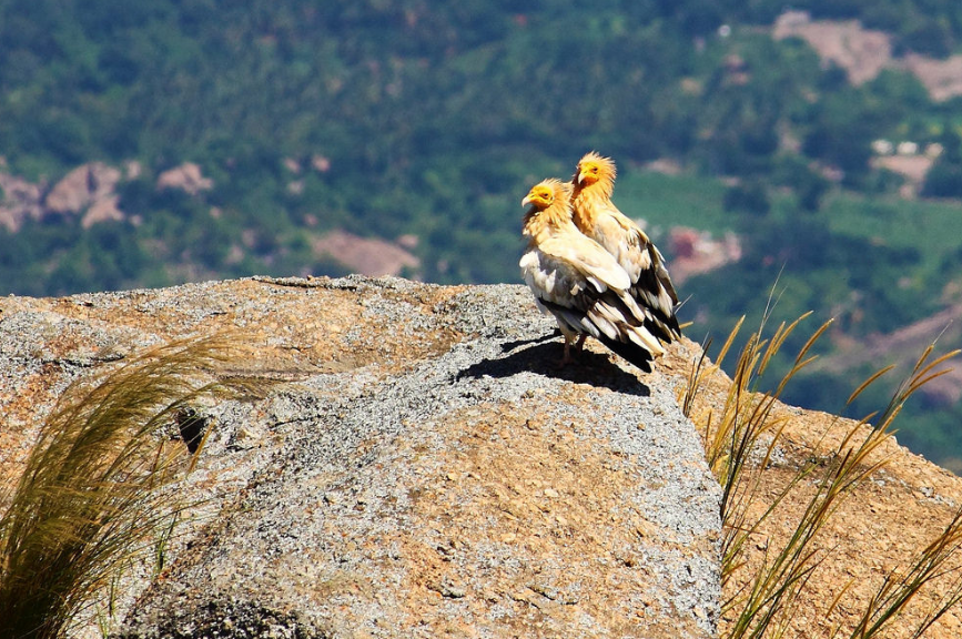 Photo of Best sunrise spots around Bengaluru for the early birds by Ayushee Chaudhary