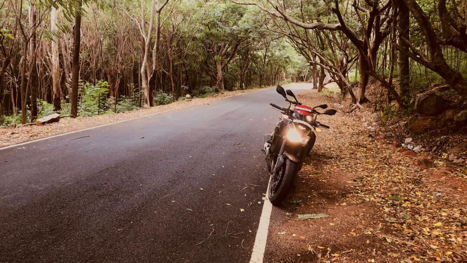 Photo of Best bike rides within 150 km of Bengaluru 1/1 by Ayushee Chaudhary