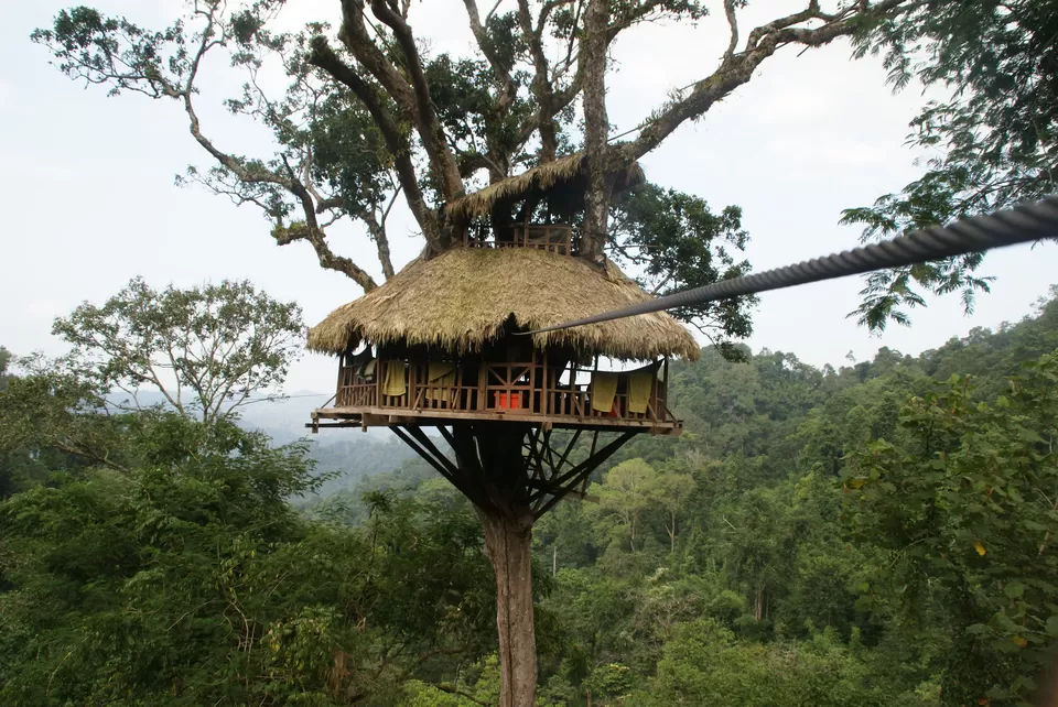 Photo of Gibbon Experience Treehouse Nr 1, Laos by Ayushee Chaudhary