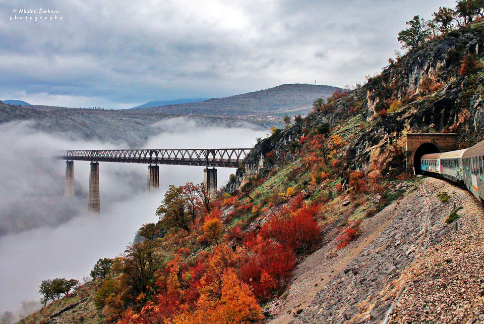 Photo of Here’s Why Serbia Should be Your Next International Destination. P.S. No Visa Needed by Ayushee Chaudhary