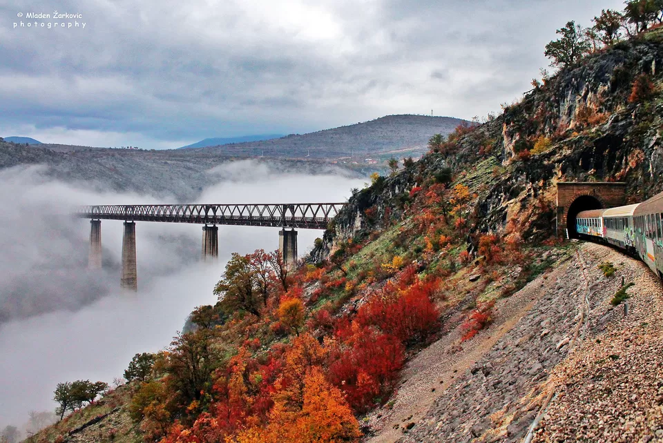 Photo of Here’s Why Serbia Should be Your Next International Destination. P.S. No Visa Needed by Ayushee Chaudhary