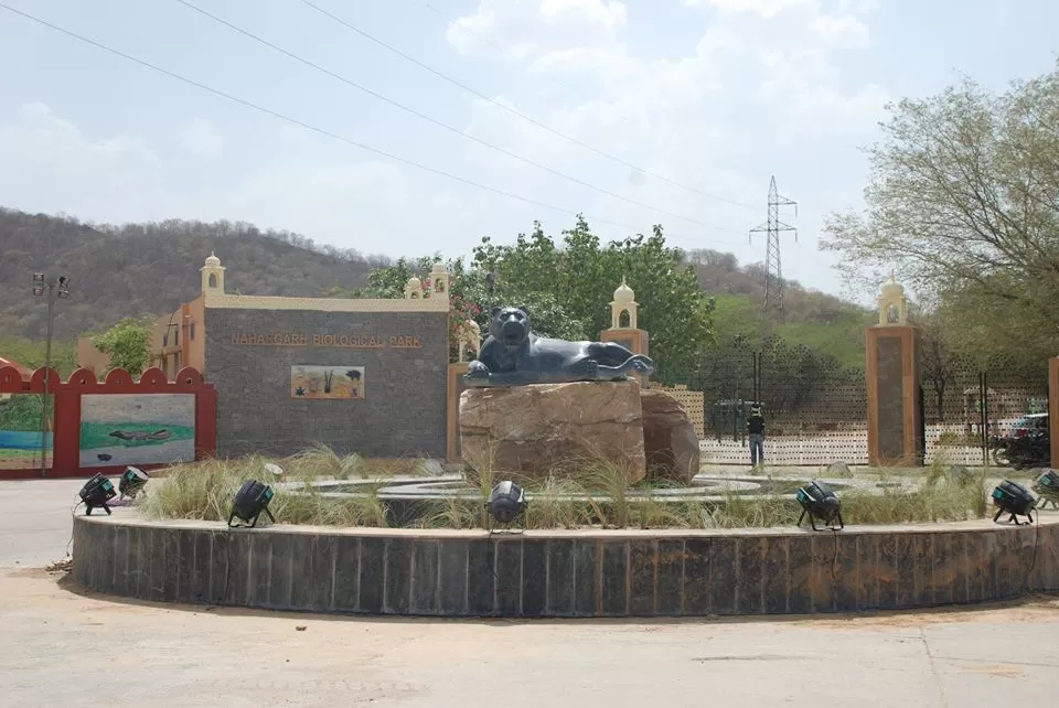 Photo of Nahargarh Biological Park, Kukas, Rajasthan, India by Ayushee Chaudhary