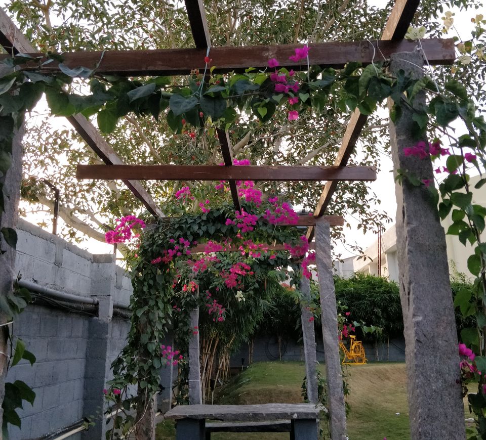 Photo of Wine your way, Bengalureans by Ayushee Chaudhary