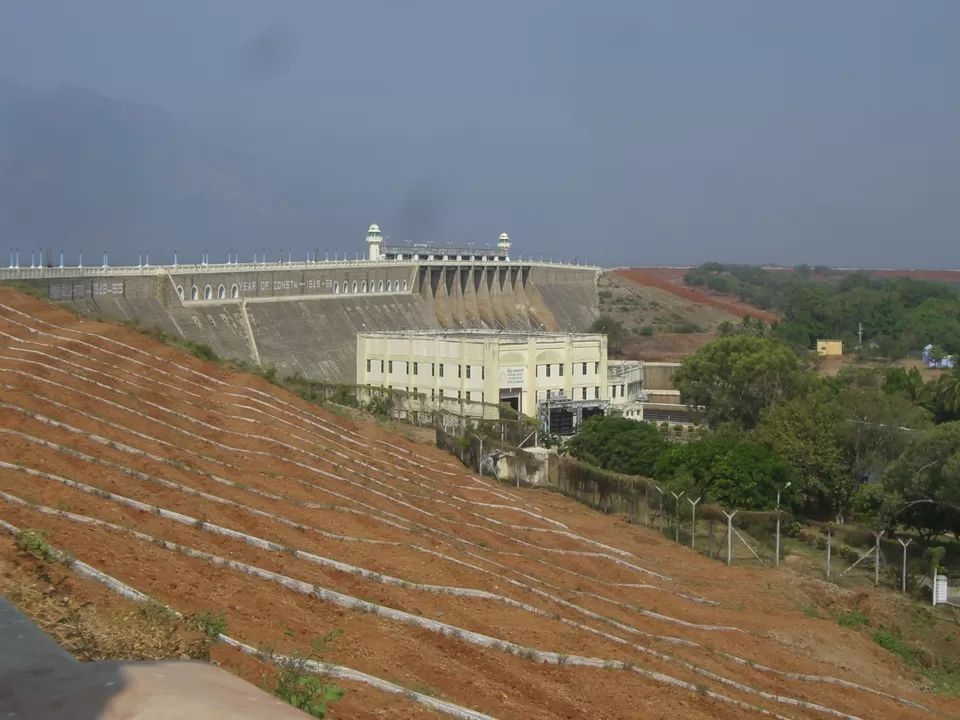 Photo of Into the wild at Sathyamangalam by Ayushee Chaudhary