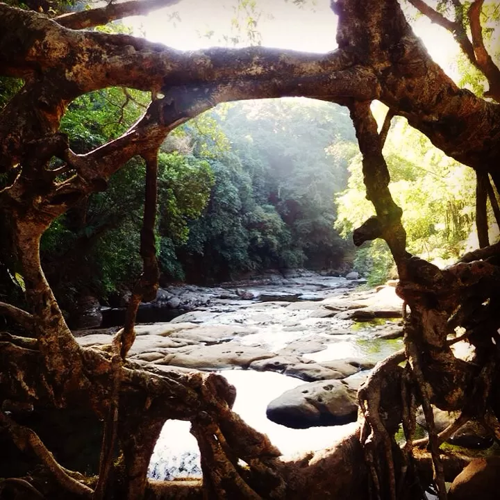 Photo of Riwai Village, Meghalaya, India by Amrapali Tapale