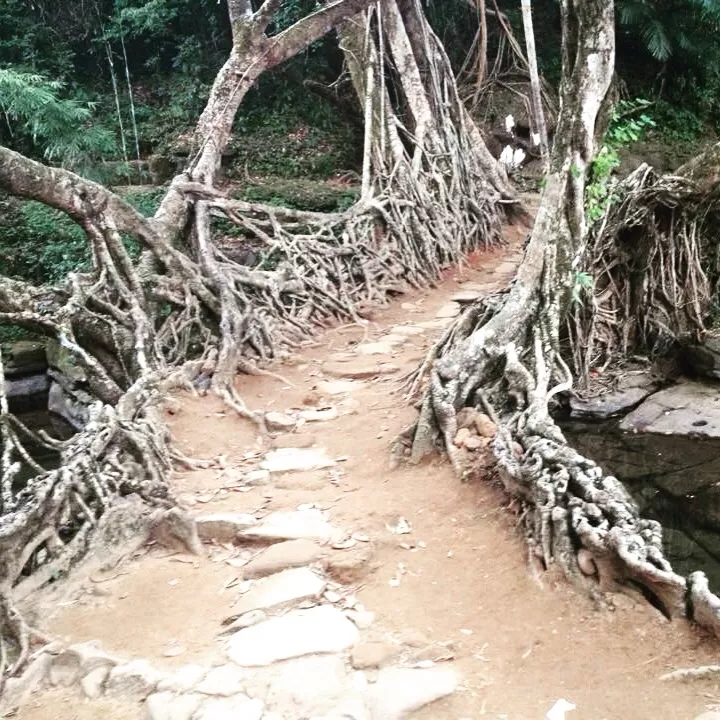 Photo of Riwai Village, Meghalaya, India by Amrapali Tapale
