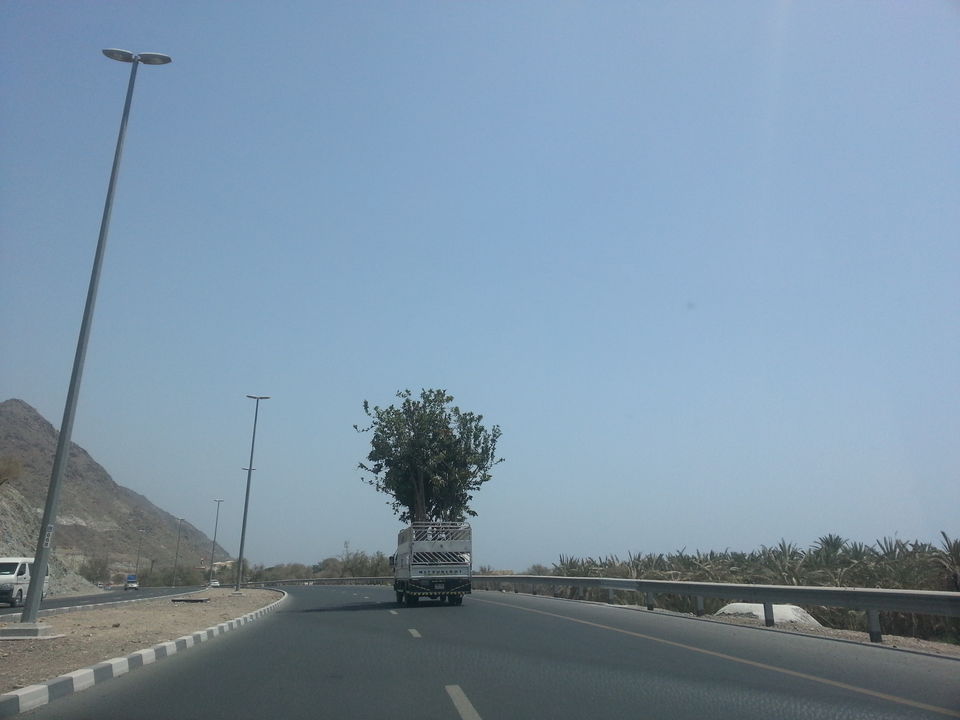 Photo of Drive amidst desert, mountains and beaches at Fujairah, UAE 3/9 by Ramprasad Subudhi