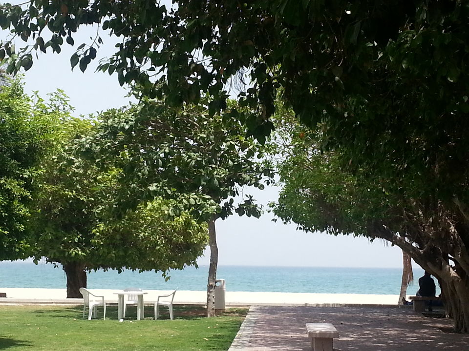Photo of Drive amidst desert, mountains and beaches at Fujairah, UAE 8/9 by Ramprasad Subudhi