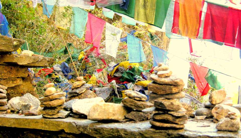 Photo of Magical Bhutan! Trek to Tiger's Nest & more.. by Amrita