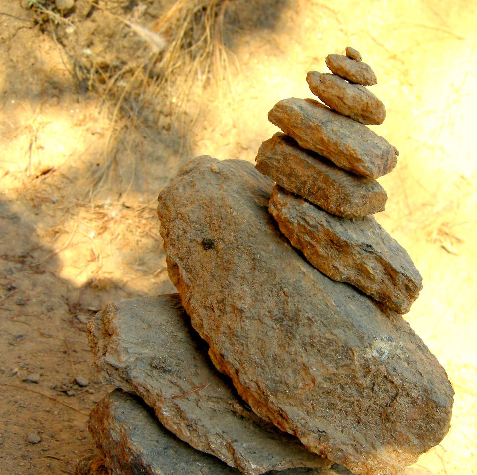 Photo of Magical Bhutan! Trek to Tiger's Nest & more.. by Amrita