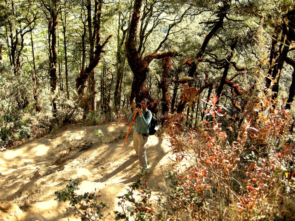 Photo of Magical Bhutan! Trek to Tiger's Nest & more.. by Amrita