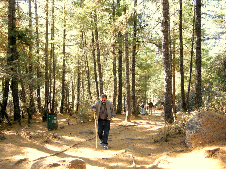 Photo of Magical Bhutan! Trek to Tiger's Nest & more.. by Amrita