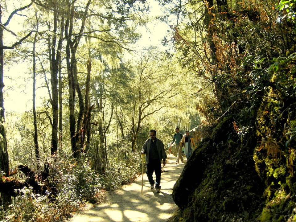Photo of Magical Bhutan! Trek to Tiger's Nest & more.. by Amrita