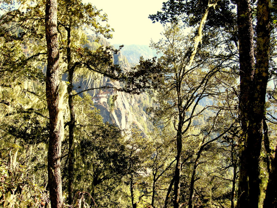 Photo of Magical Bhutan! Trek to Tiger's Nest & more.. by Amrita