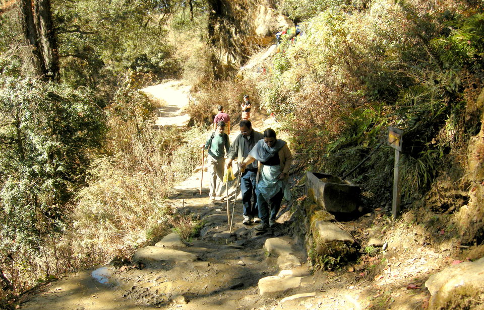 Photo of Magical Bhutan! Trek to Tiger's Nest & more.. by Amrita