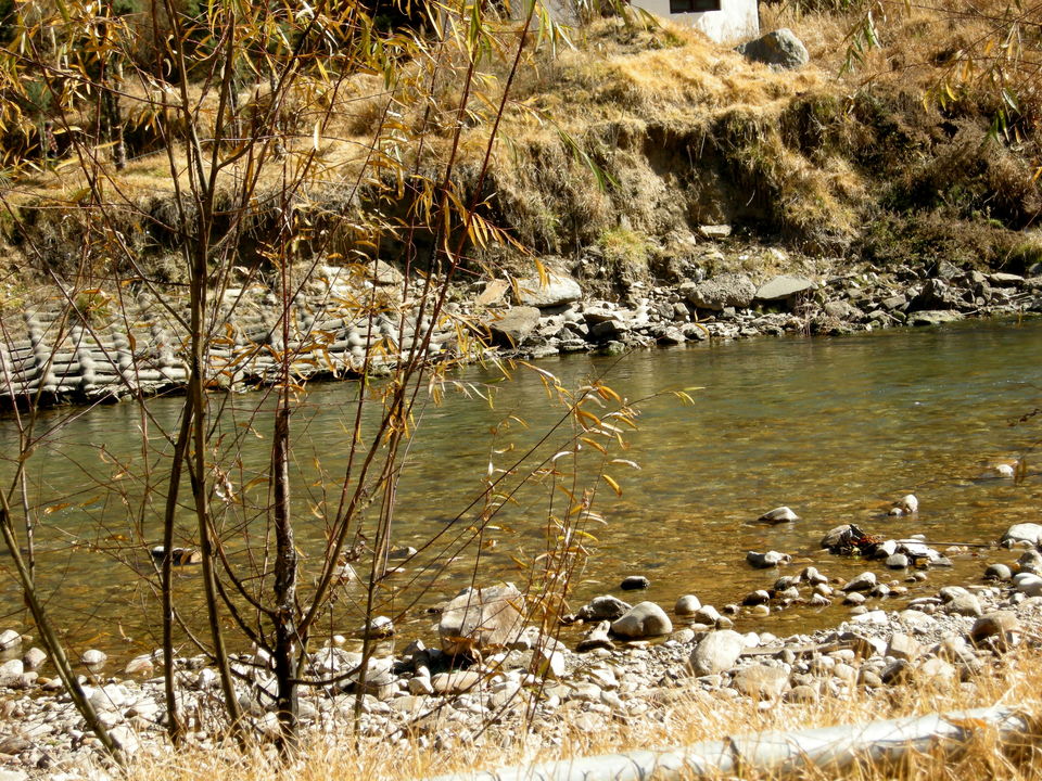 Photo of Magical Bhutan! Trek to Tiger's Nest & more.. by Amrita