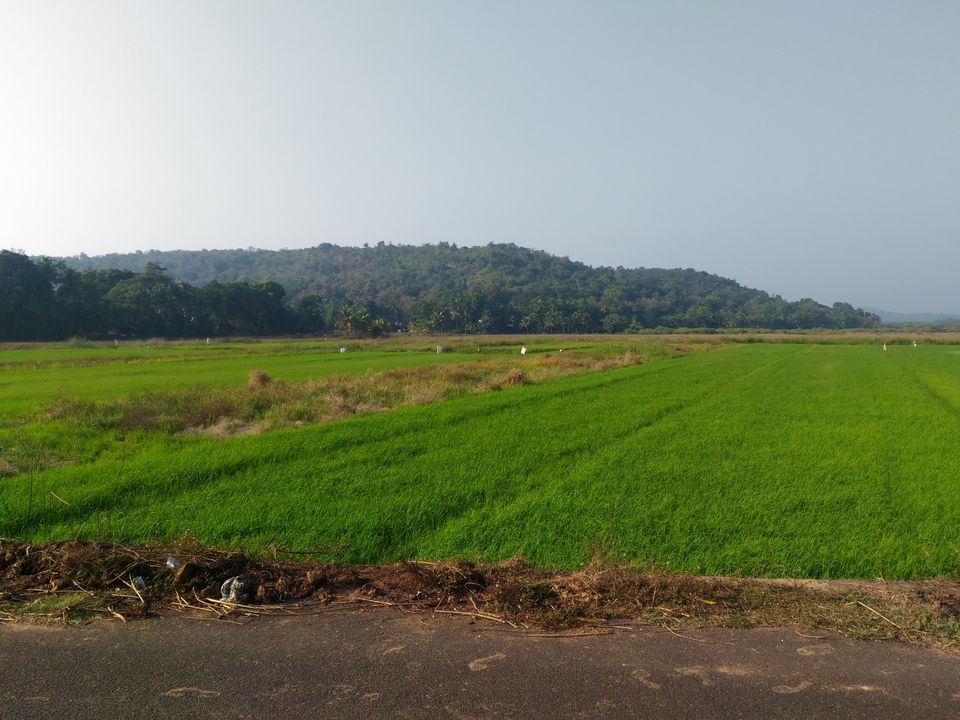 Photo of Goa by Ishan Parikh