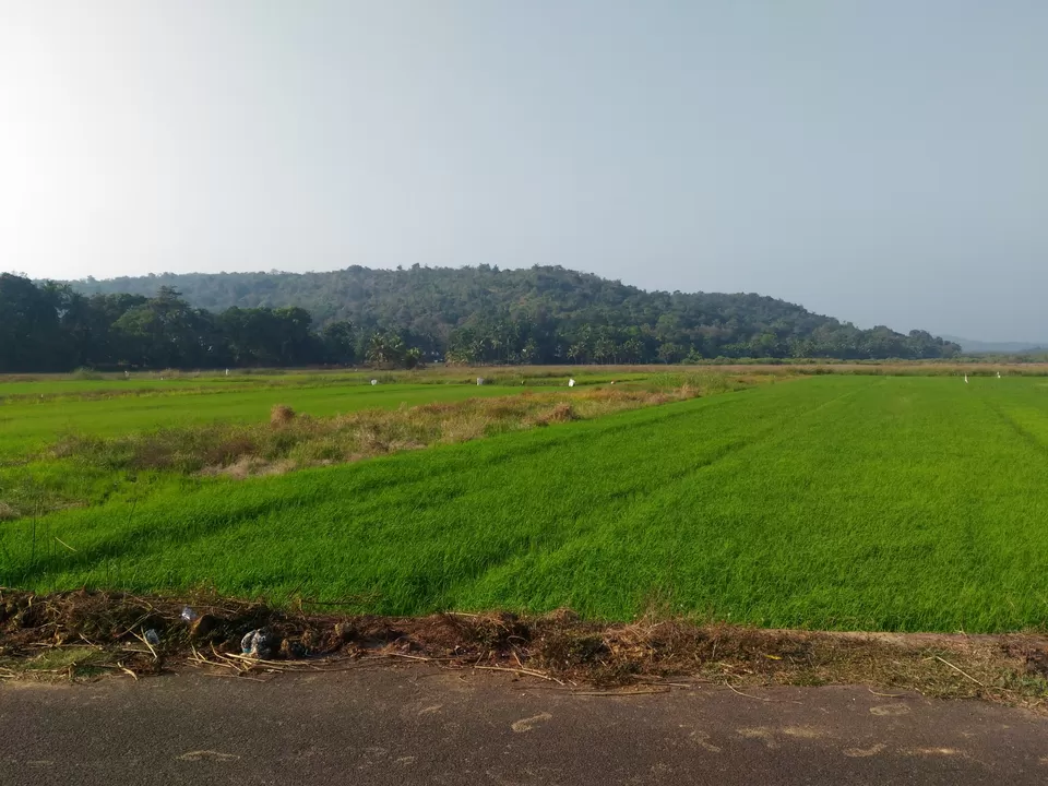 Photo of Goa by Ishan Parikh