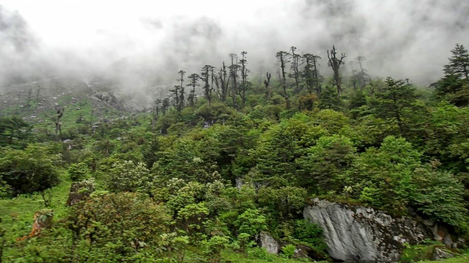 Photo of Mesmerising Sikkim 58/59 by swaraj