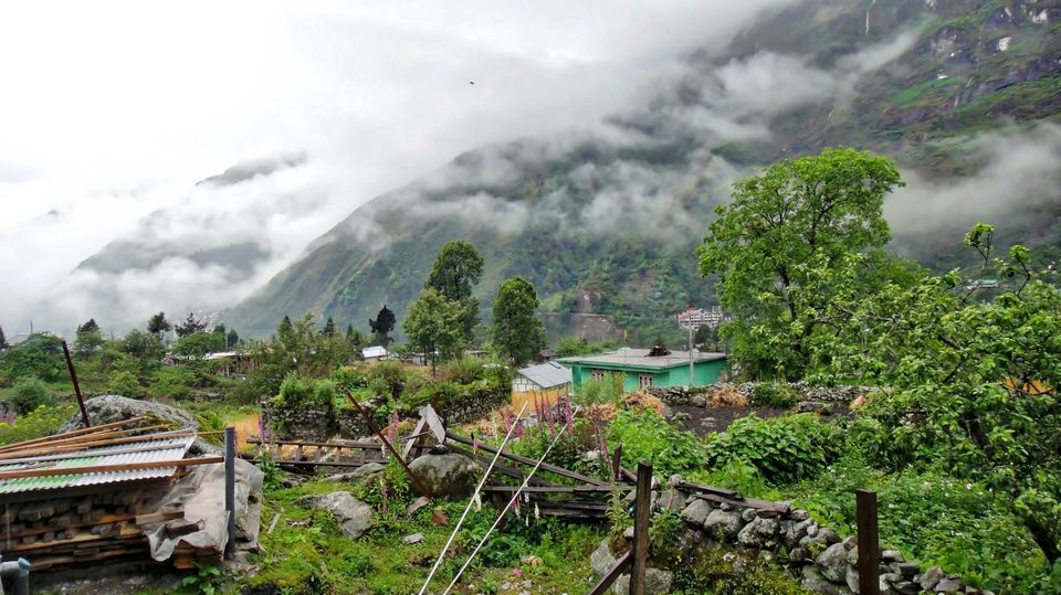 Photo of Mesmerising Sikkim 57/59 by swaraj