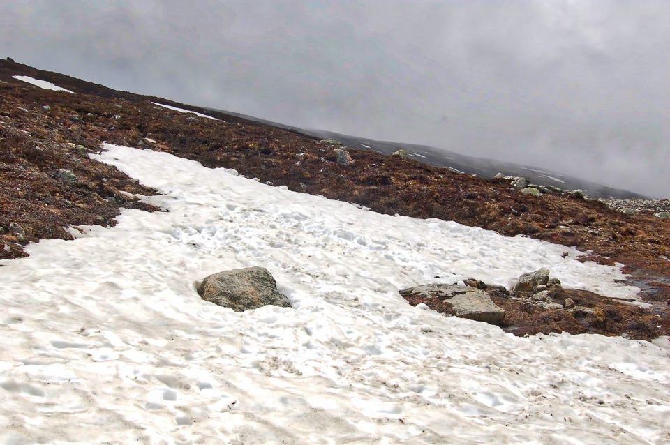 Photo of Mesmerising Sikkim 9/59 by swaraj