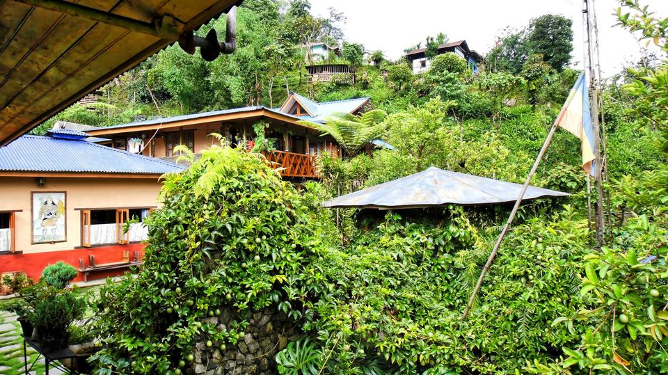 Photo of Mesmerising Sikkim 52/59 by swaraj