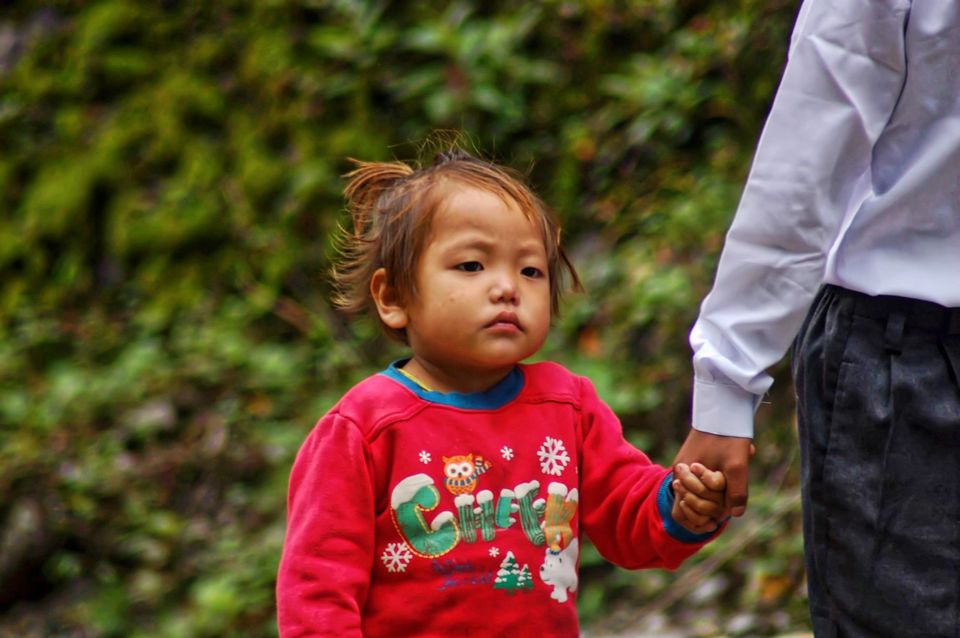 Photo of Mesmerising Sikkim 48/59 by swaraj