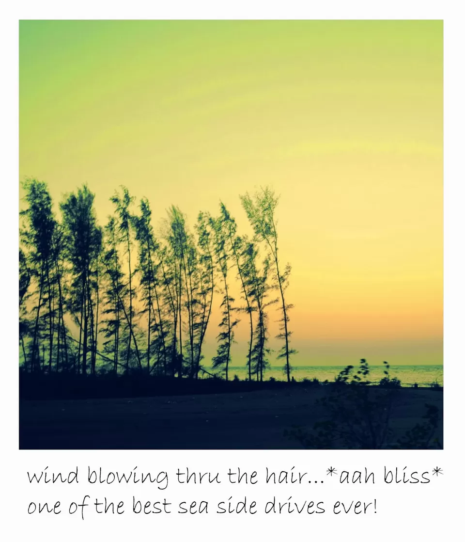 Photo of Velas Beach, Ratnagiri, Maharashtra, India by Nerdy Adventuress